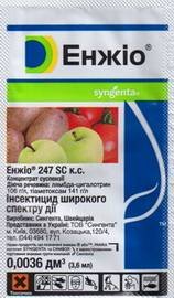 Энжио2